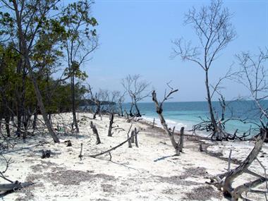 2004 Cuba, Cayo Levisa, DSC00700 B_B720